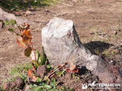 Senda Genaro - GR 300 - Embalse de El Atazar; senderismo en tarragona